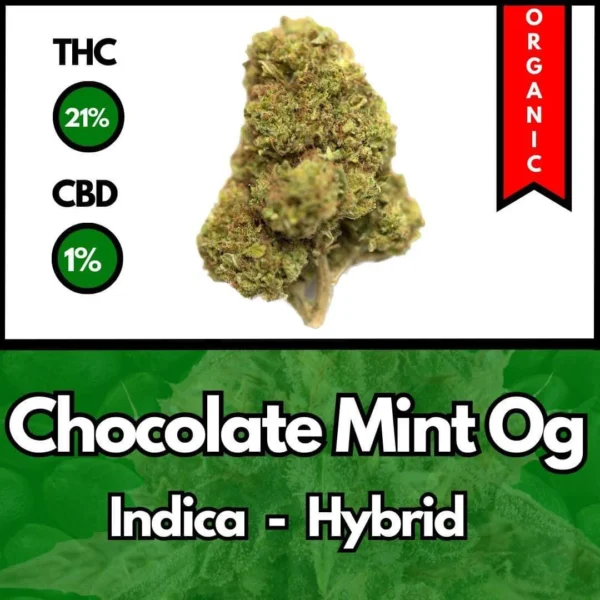 Chocolate Mint OG