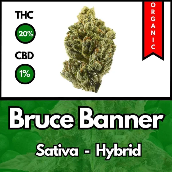 Bruce Banner